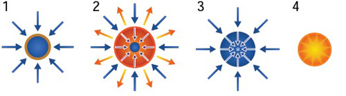 fusion phases